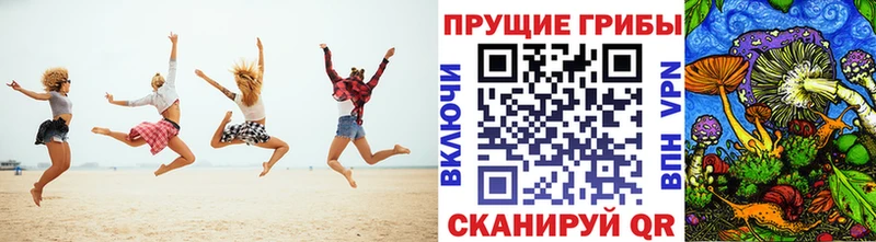 сайты даркнета официальный сайт  Кувшиново  Псилоцибиновые грибы MAGIC MUSHROOMS 